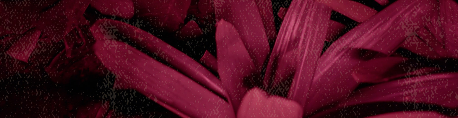 Parte 02 Poster